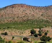 Oujda